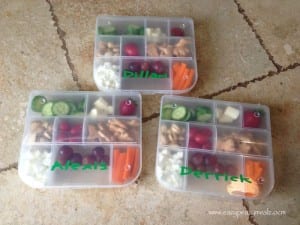 Snacking Solution–How I changed the way we snack!