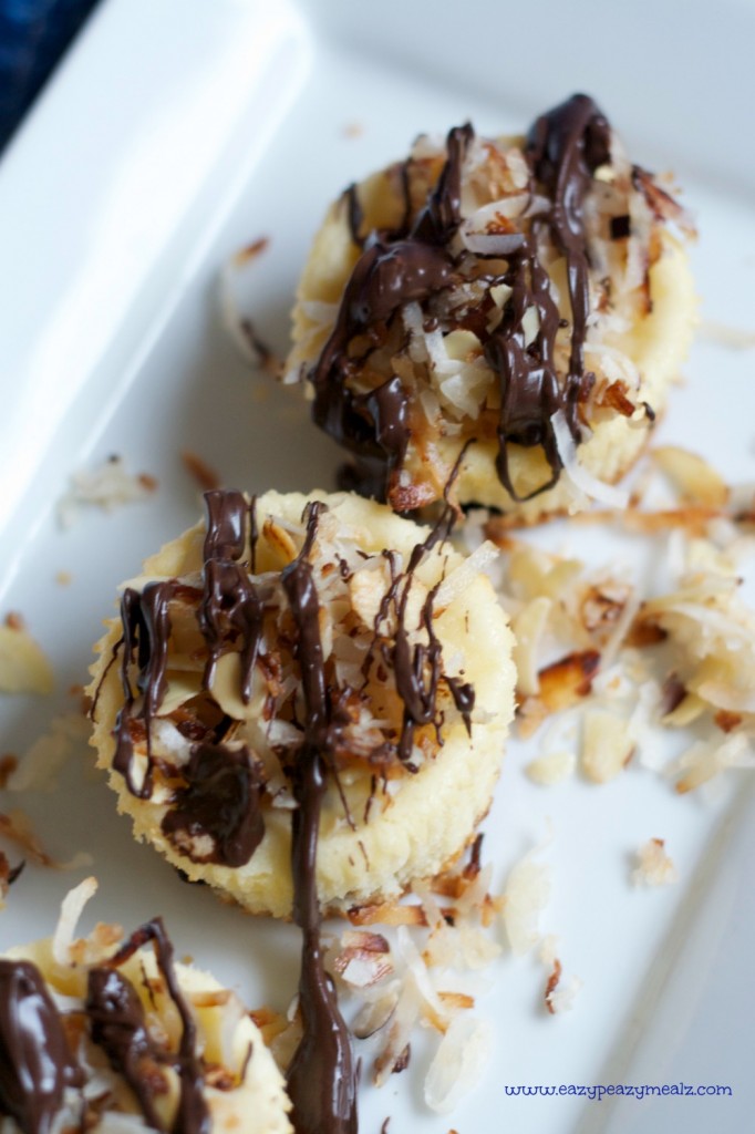 almond coconut chocolate mini cheesecake