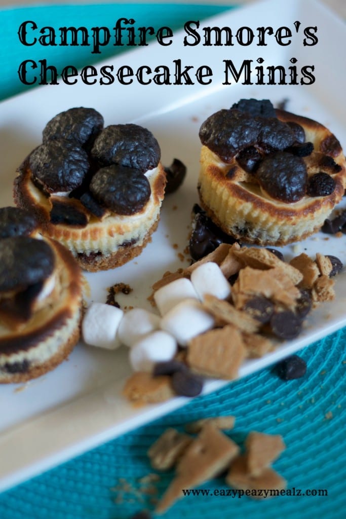 campfire smore's cheesecake minis