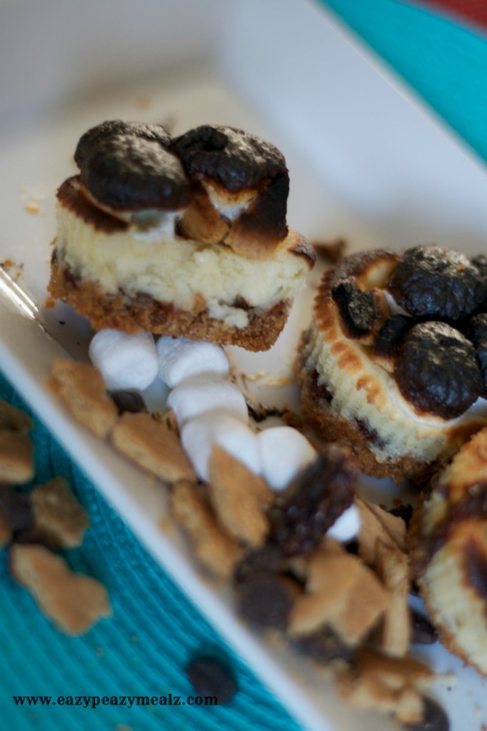 mini smore's cheesecakes