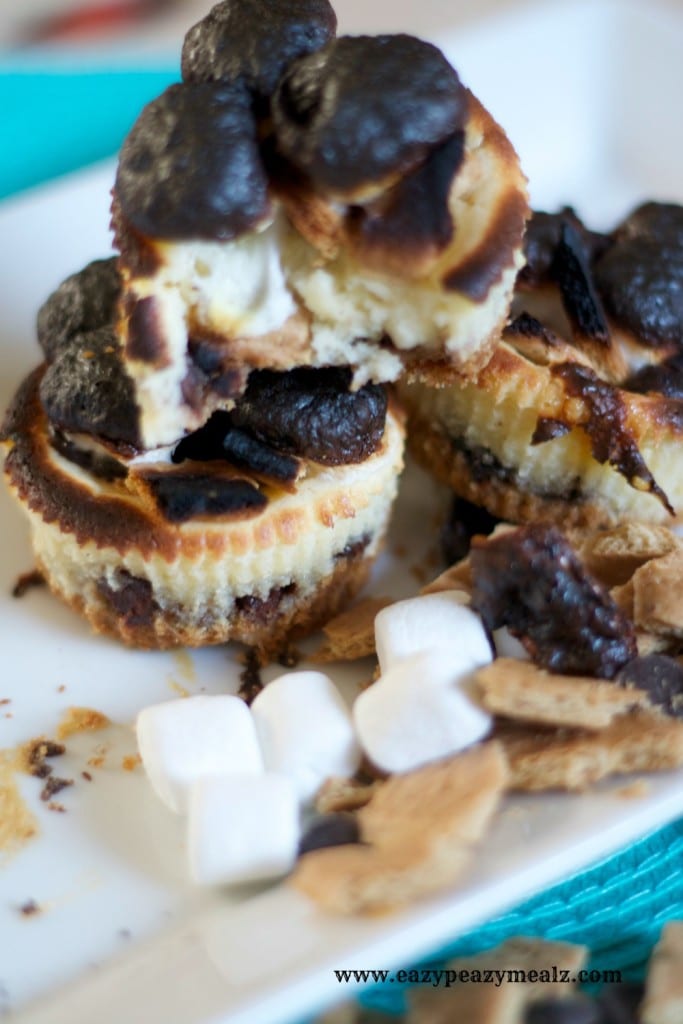 smore's mini cheesecakes