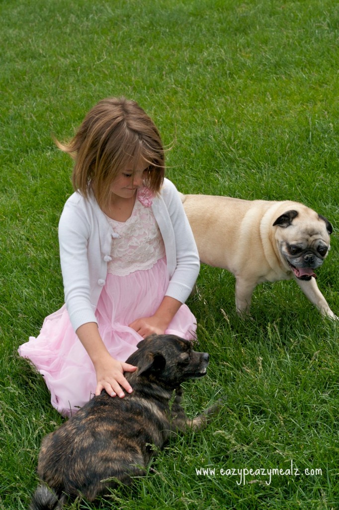 Lexi and the dogs