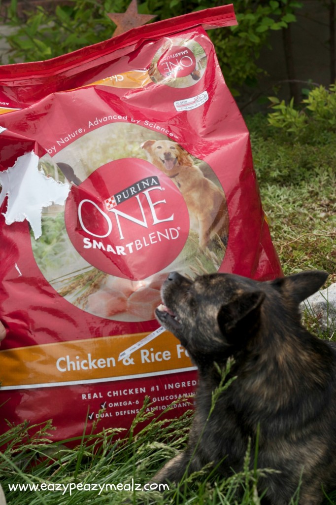 Purina One