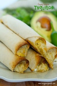 creamy jalapeno taquitos