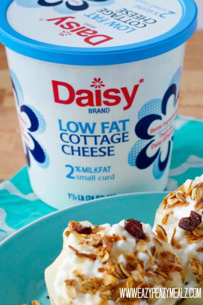 daisy cottage cheese