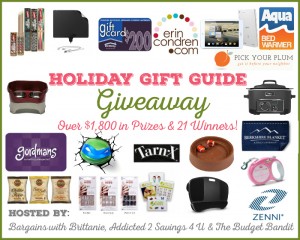 Holiday Gift Guide Giveaway!