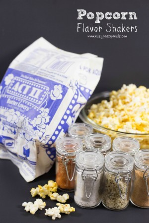 Popcorn flavor shakers, popcorn, flavored popcorn, seasonings