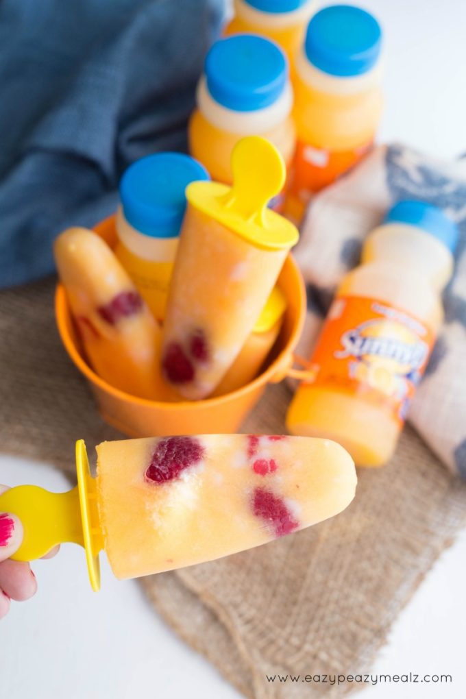 SunnyD Ice Pop 2
