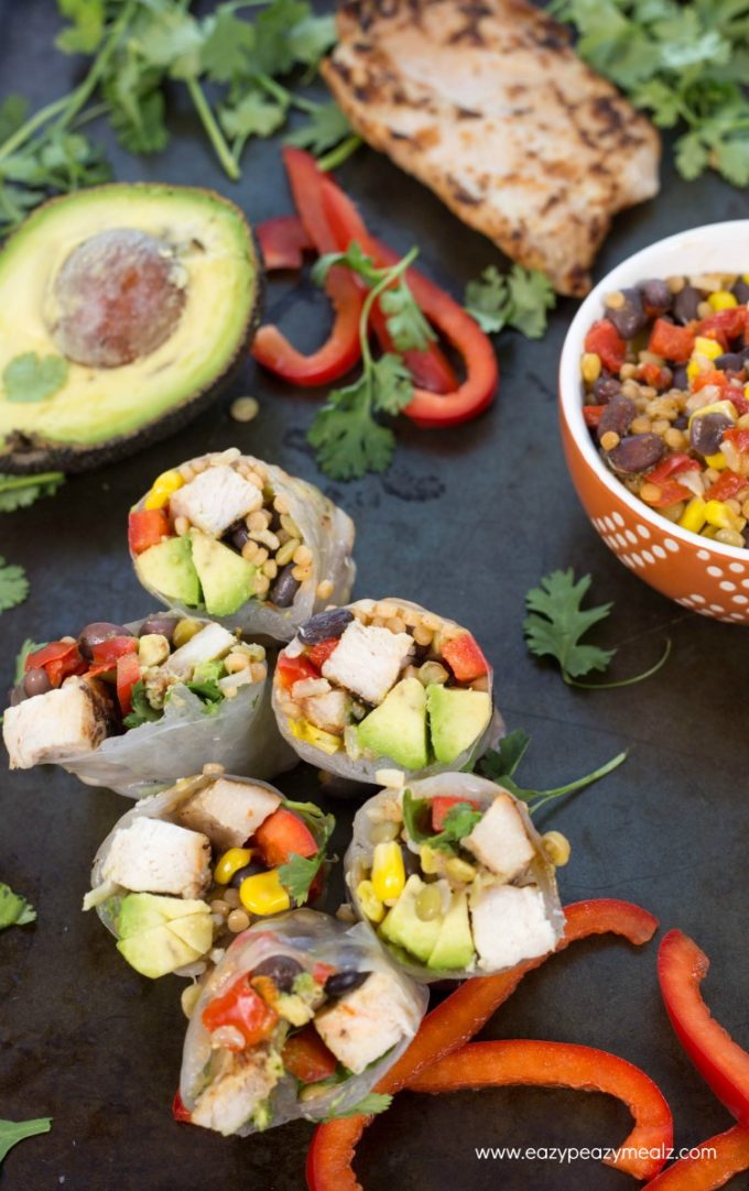 Southwest style spring rolls