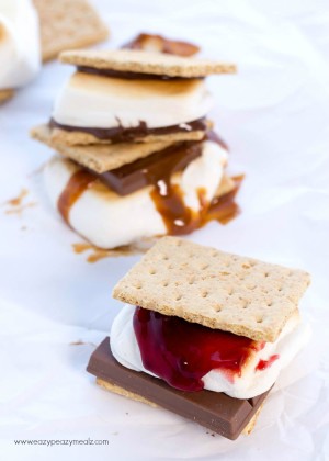 Chocolate Covered Raspberry Smore: Crispy Chocolate, Raspberry Pie Filling, and Toasted Marshmallow!