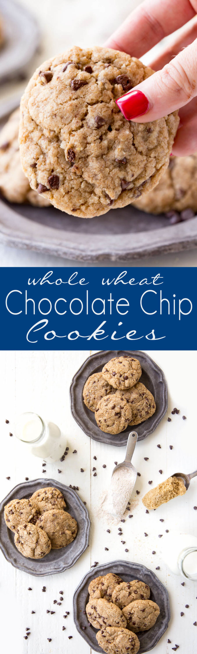 Whole Wheat Chocolate Chip Cookies are delicious and simple