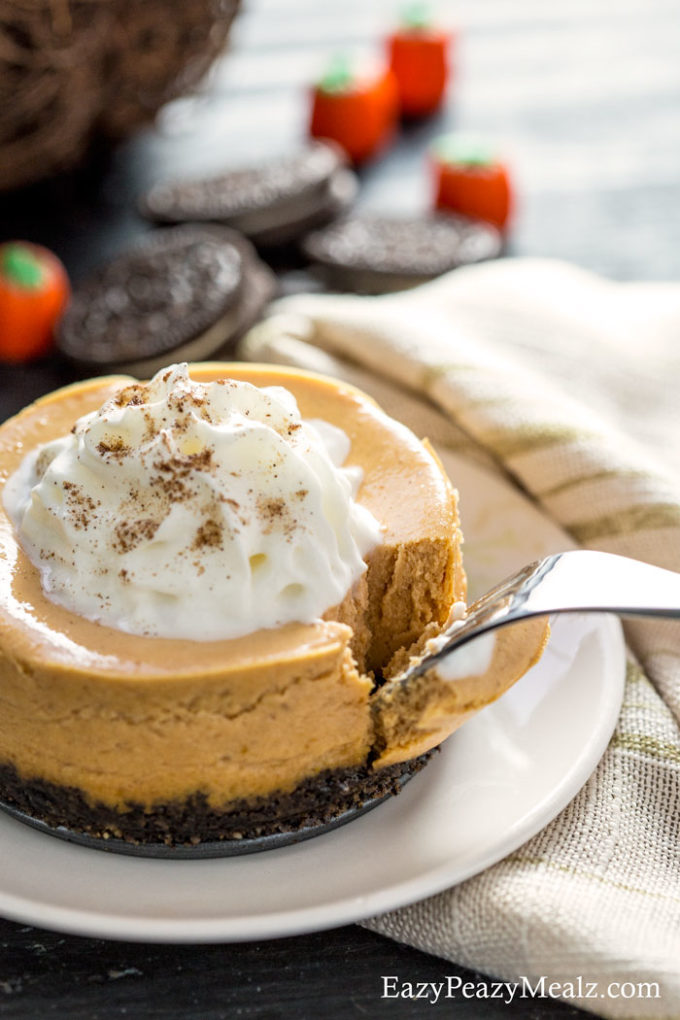 Want a bite of this light and airy pumpkin cookie cheesecake! it is as delicious as it looks. 