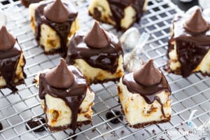 Chocolate ganache covered cheesecake bites! With Kisses on top!