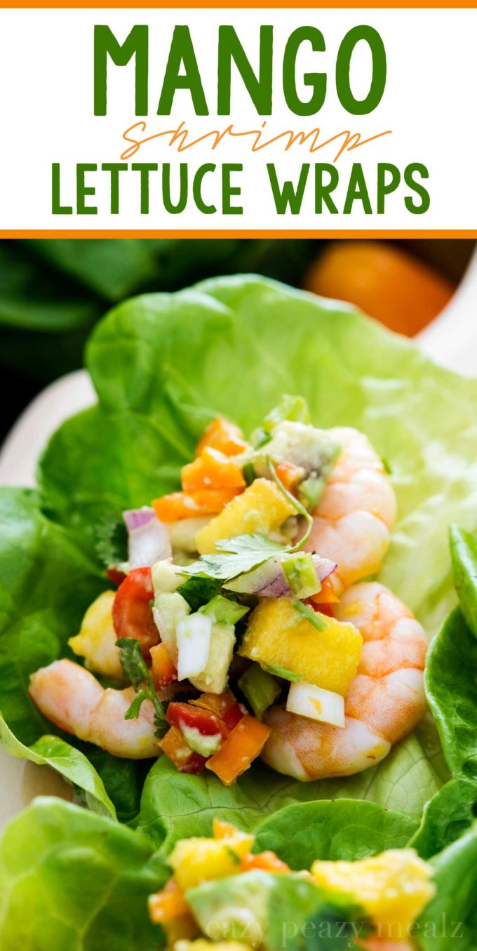 mango-shrimp-lettuce-wraps-hero