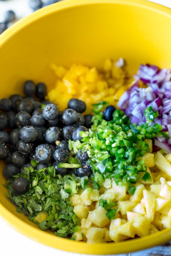 Blueberry fruit salsa ingredients