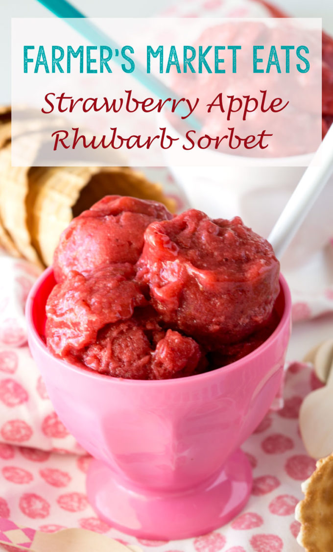 Farmer's Market Strawberry Apple Rhubarb Sorbet