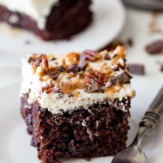 Turtle Poke Cake