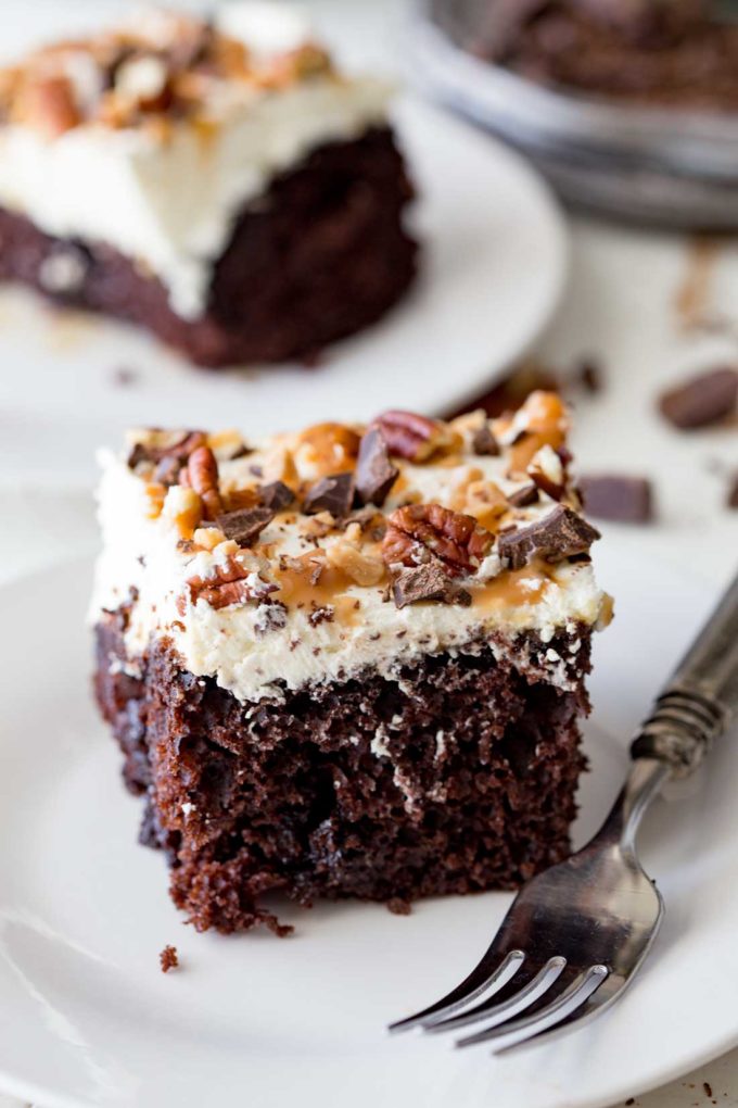 Turtle Poke Cake