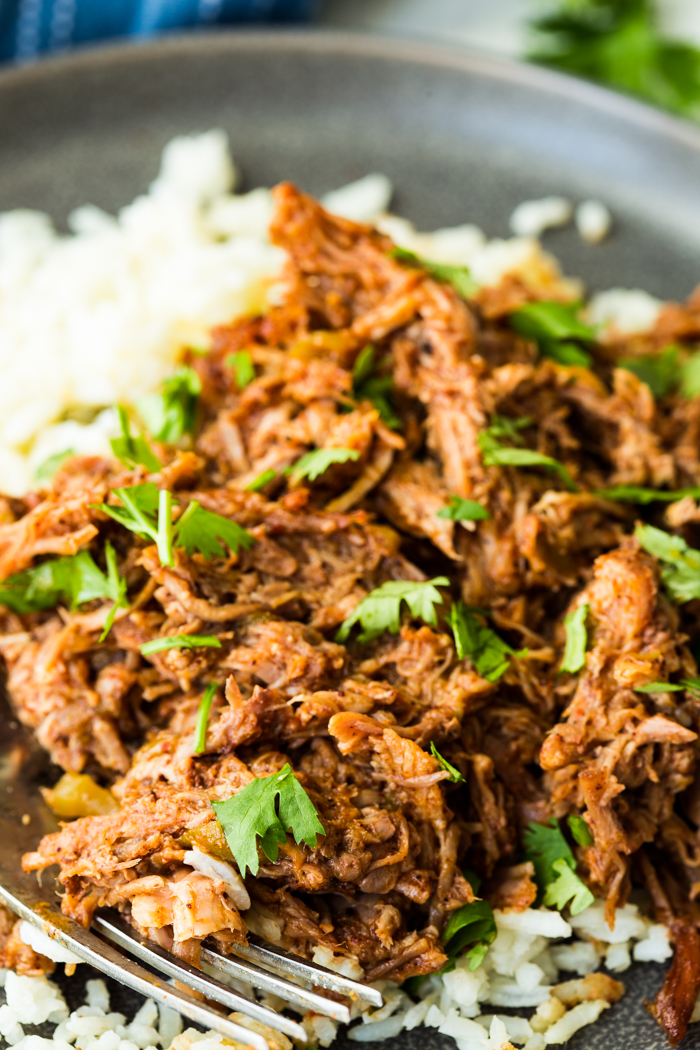 Spicy pulled pork recipe new arrivals