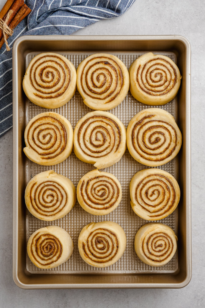 Cinnamon rolls on a baking tray, before you bake them.