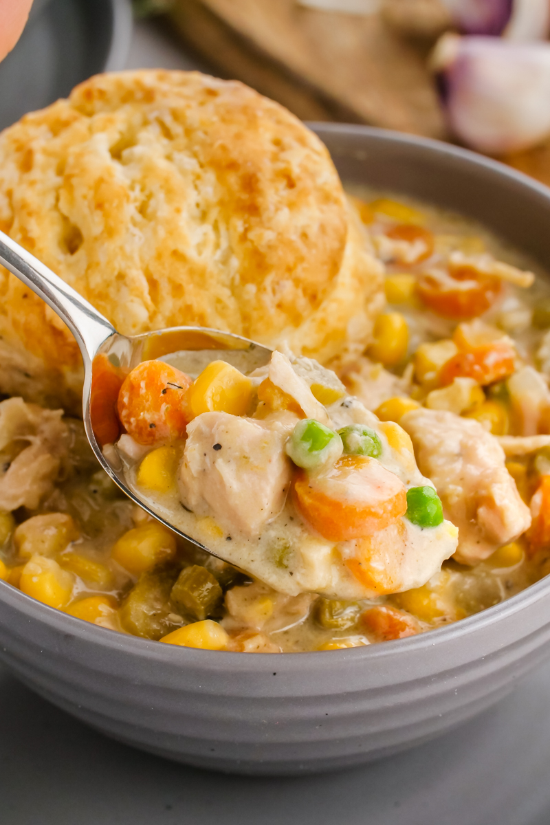 Slow Cooker Chicken or Turkey Pot Pie Crockpot Recipe