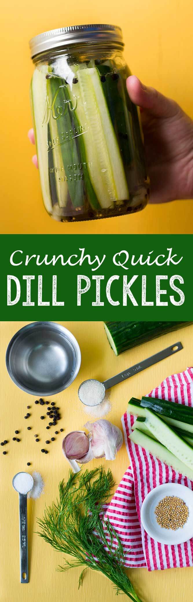 Crunchy quick dill pickles, the best refrigerator pickles you will ever eat!