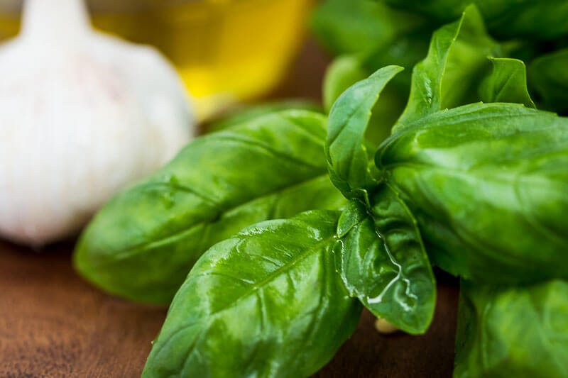 Homemade Basil Pesto - This gorgeous fresh Homemade Basil Pesto is quick and easy to make and packed with classic Italian ingredients. It's so good you'll want to eat it by the spoonful.