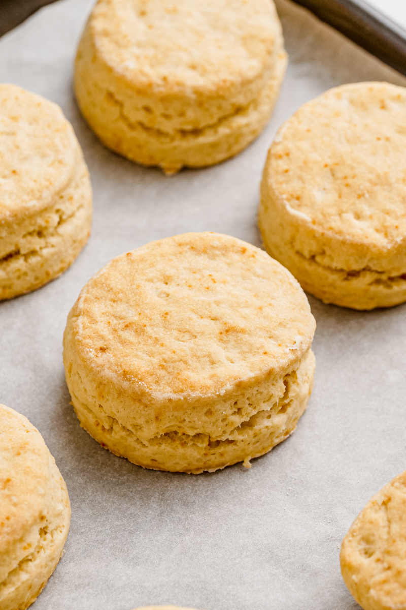 Biscuits made for biscuits and gravy