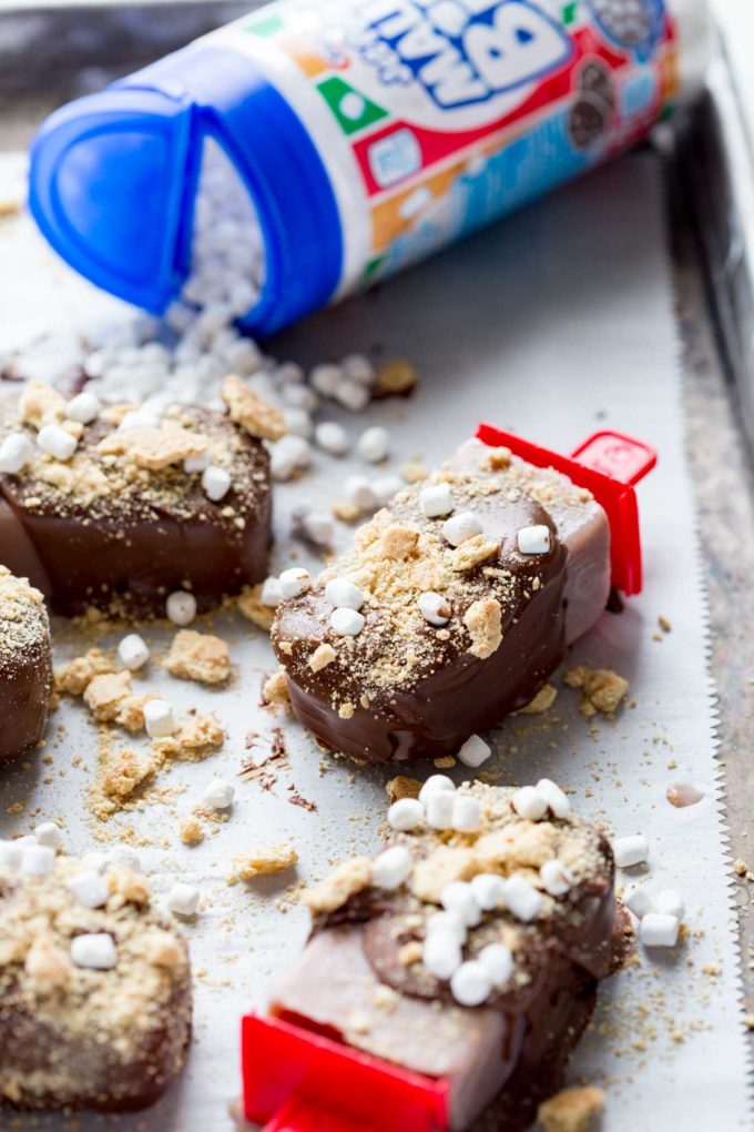 Frozen S'mores Pops are delicious treats that are cold and reminiscent flavors