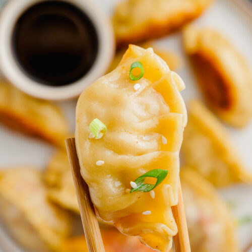 Potstickers in a plate