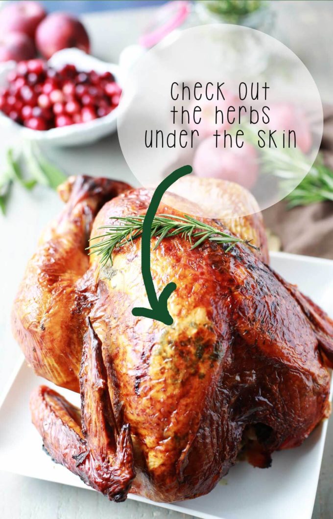 A perfectly crisp and juicy turkey with herbs between the skin and the meat on a white plate with pomegranate seeds in the background