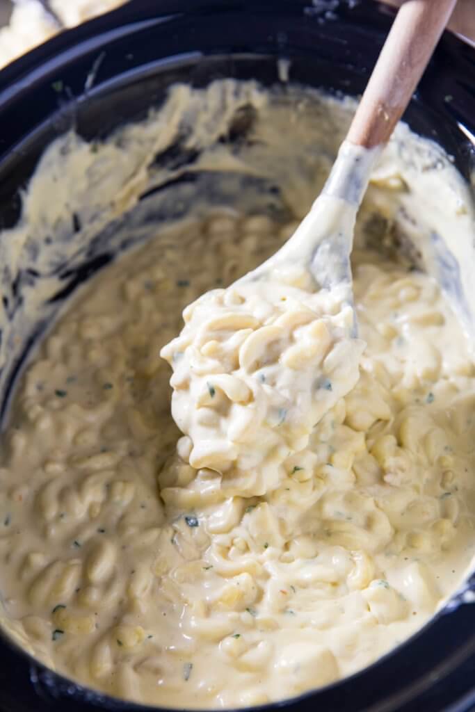 creamy mac and cheese