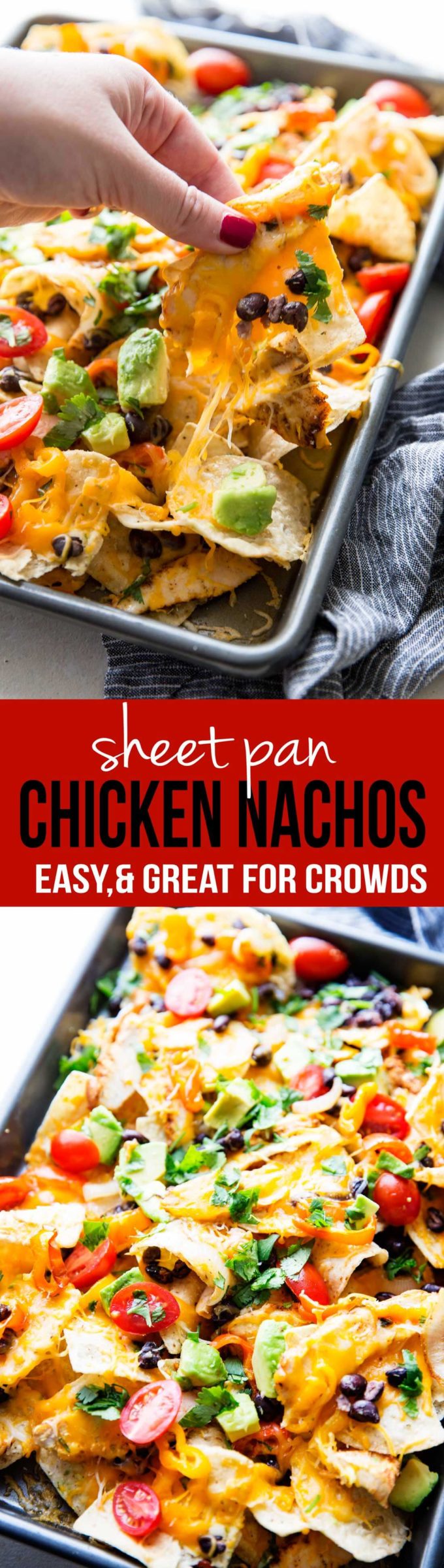 Chicken Nachos: These nachos are ultra filling, easy to make, and are loaded with crunchy chips, melty cheese, flavorful chicken, and your favorite toppings! 