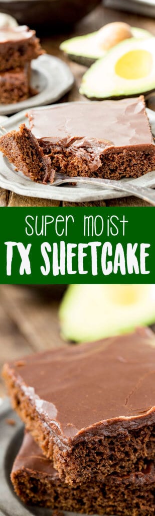 Texas Sheetcake that is super moist thanks to a fun swap of avocado for butter