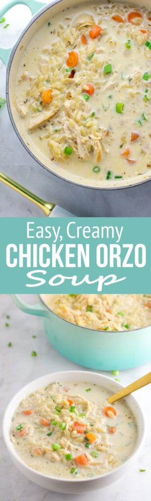 Chicken Orzo Soup: This soup is an easy and flavorful take on the classic chicken noodle soup! It's sure to be a new family favorite!