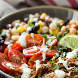 Pulled pork and pulse protein bowl