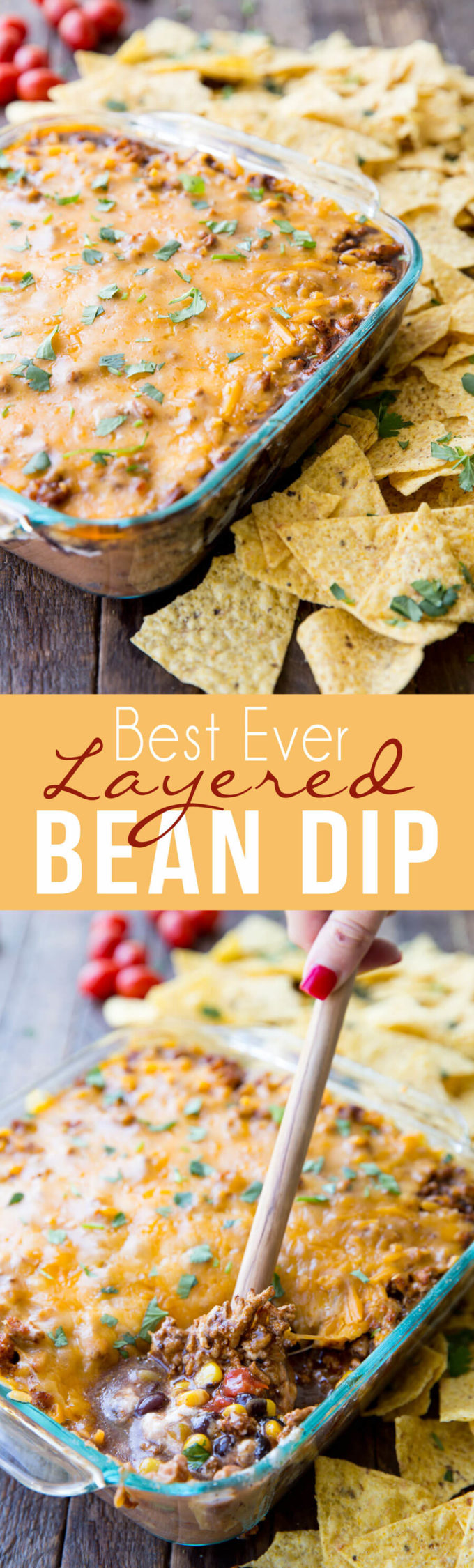 Best ever layered bean dip perfect for parties