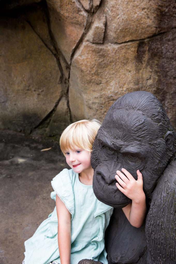 Taronga Zoo Sydney Australia