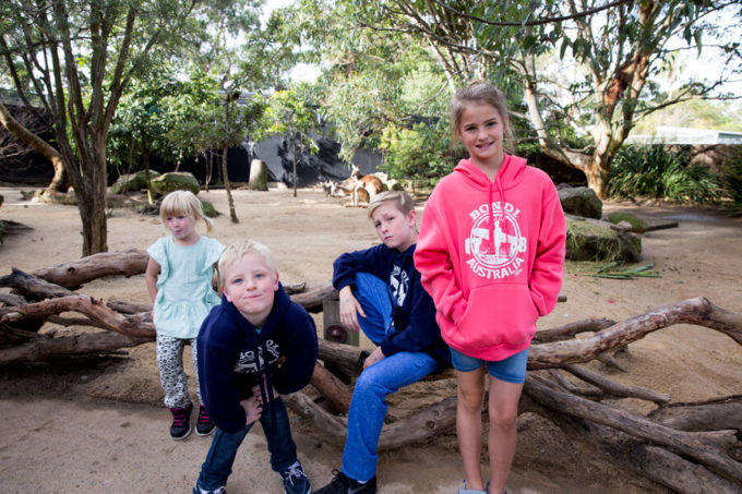 Taronga Zoo Sydney Australia