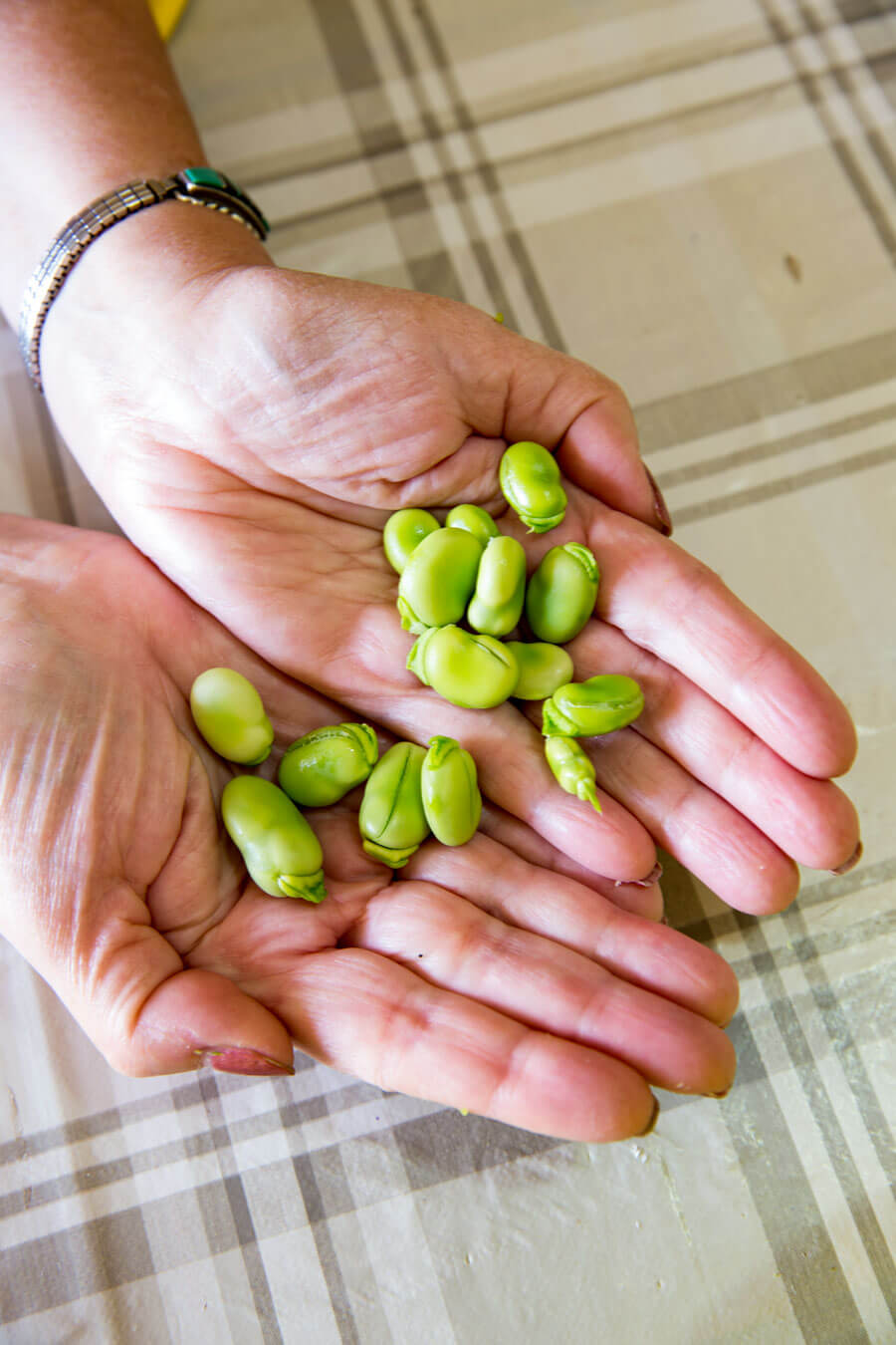 Soul of Sicily Cooking school in Italy