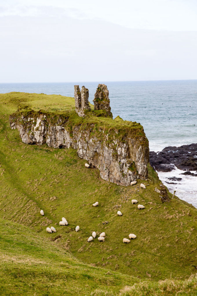 Things near Giant's causeway