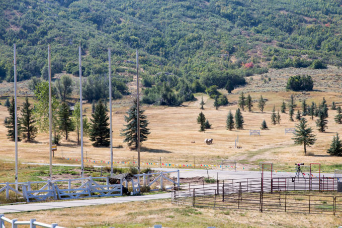 Soldier Hollow Classic, sheep dog competition and festival