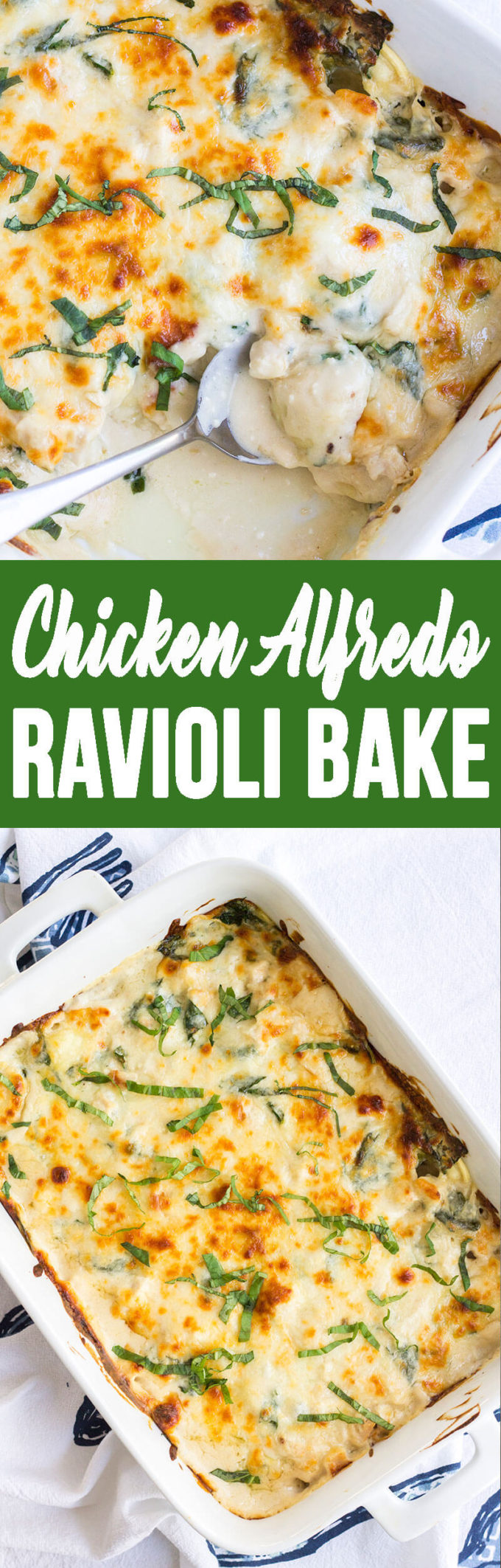 Chicken alfredo ravioli bake, easy and creamy!