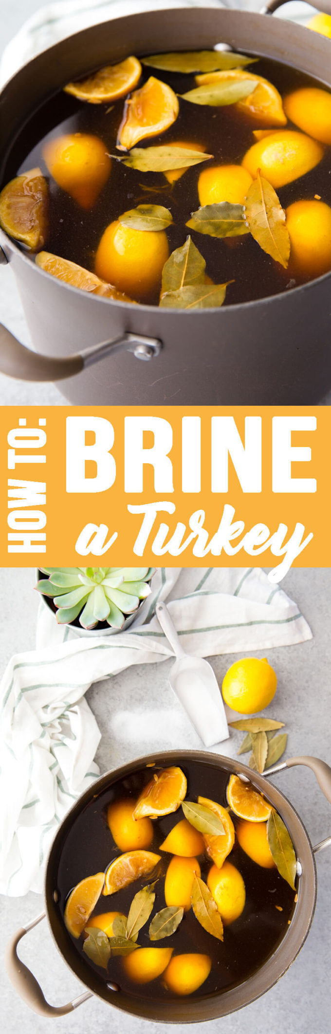 How to brine a turkey