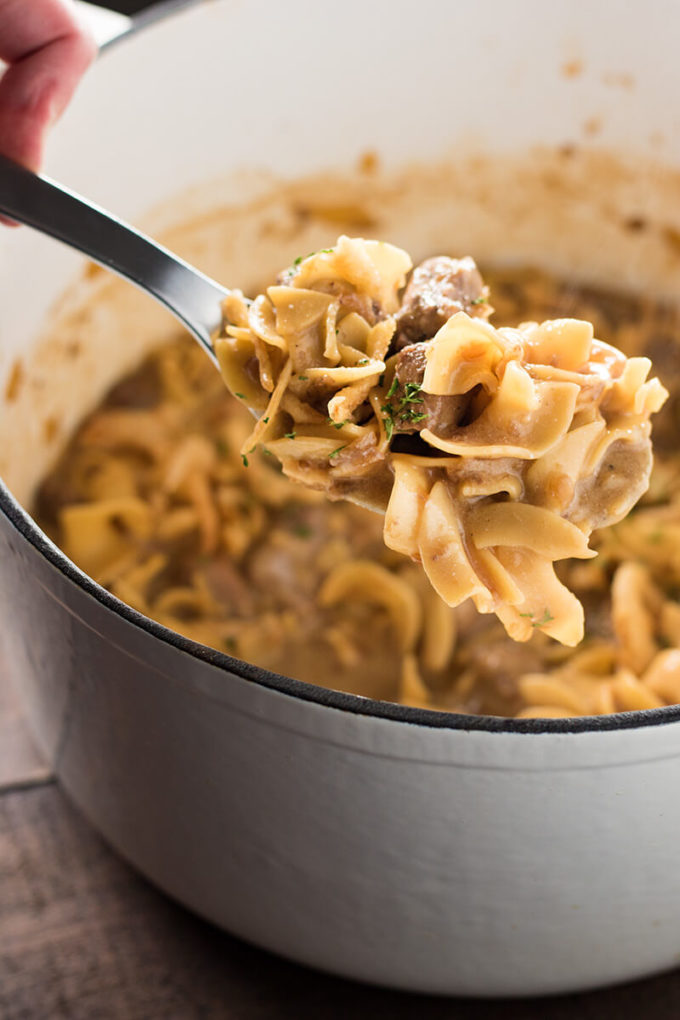 Easy One Pot French Onion Beef and Noodles