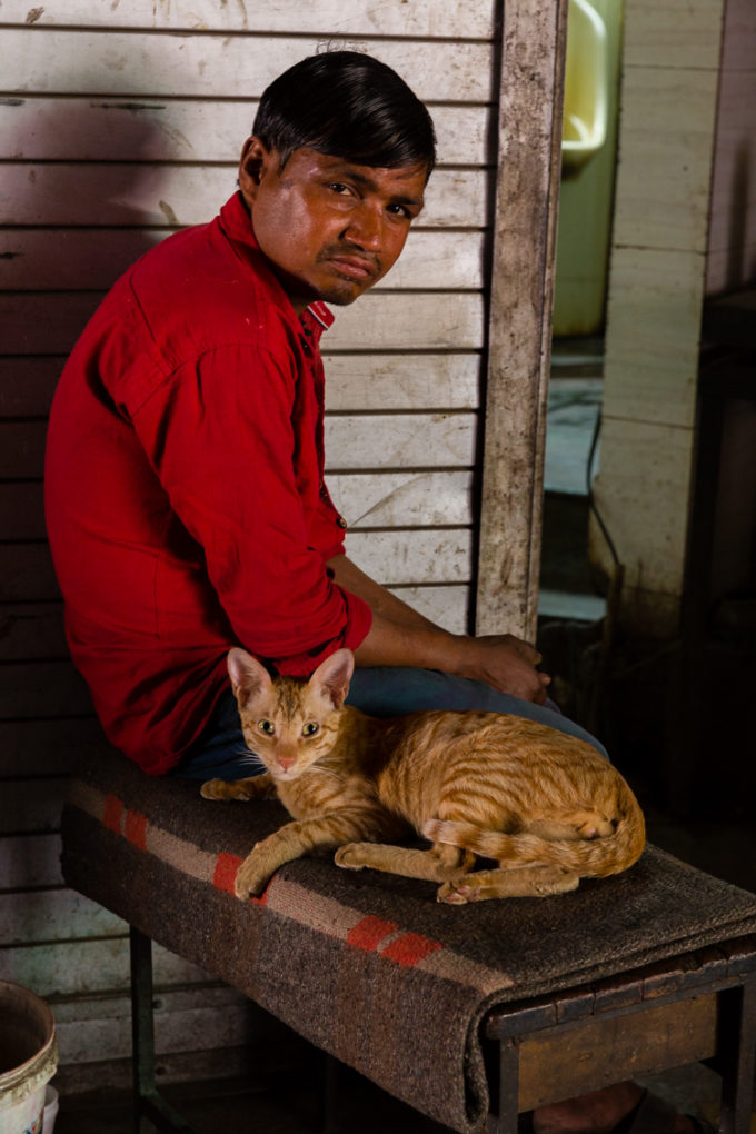 Old Delhi India, cat and man