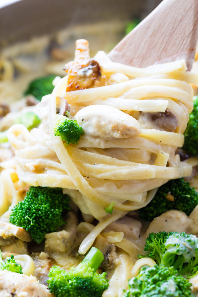 A delicious and nearly lactose free Alfredo sauce perfect for the pasta lover