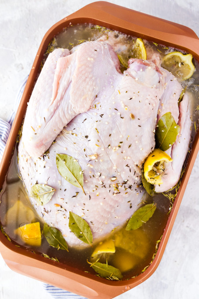 How to brine a turkey- A whole turkey in turkey brine in a roasting pan