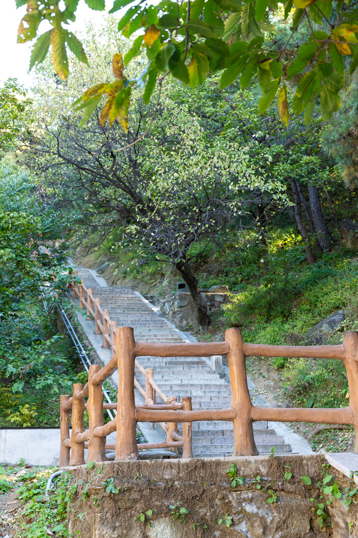 Lots of Stairs at the Great Wall of China