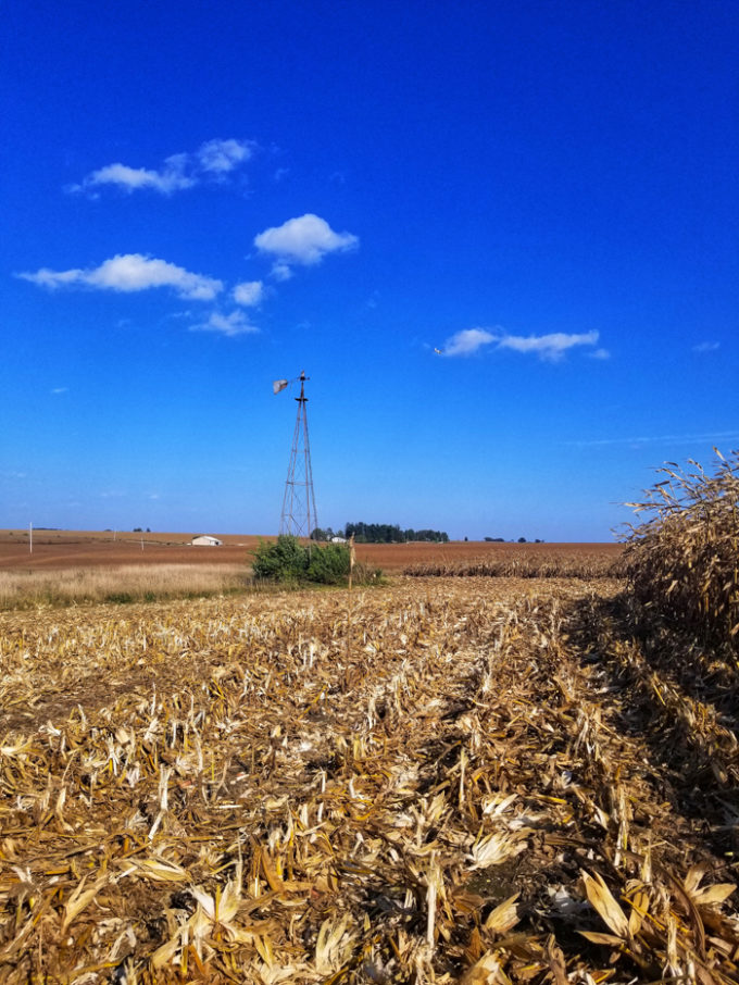 Farm in Iowa, where corn is grown